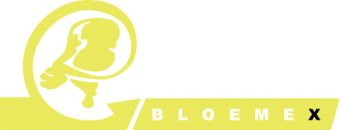 Logo Lans Bloemex